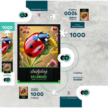 Delaware, Ladybug: State Insects Series 1000 Jigsaw Puzzle box 3D Modell
