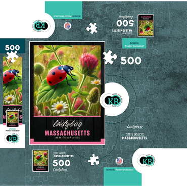 Massachusetts, Ladybug: State Insects Series 500 Jigsaw Puzzle box 3D Modell