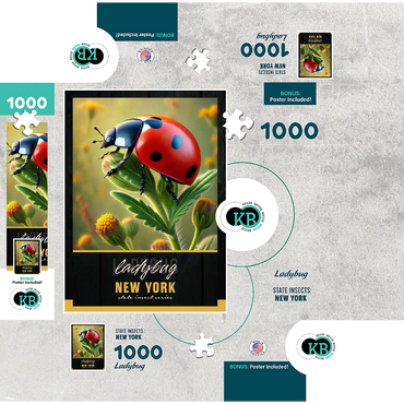 New York, Ladybug: State Insects Series 1000 Jigsaw Puzzle box 3D Modell