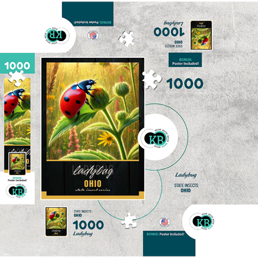 Ohio, Ladybug: State Insects Series 1000 Jigsaw Puzzle box 3D Modell