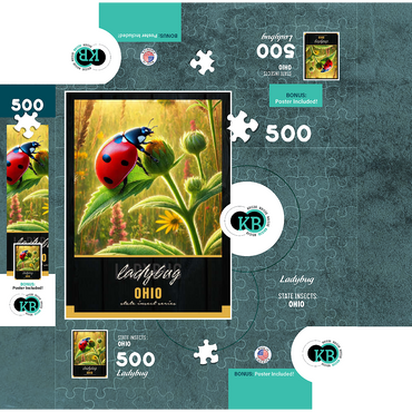 Ohio, Ladybug: State Insects Series 500 Jigsaw Puzzle box 3D Modell