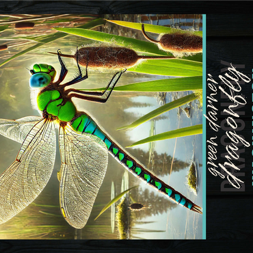 Washington, Green Darner Dragonfly: State Insects Series 1000 Jigsaw Puzzle 3D Modell