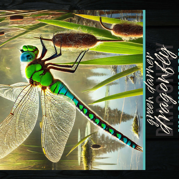 Washington, Green Darner Dragonfly: State Insects Series 500 Jigsaw Puzzle 3D Modell