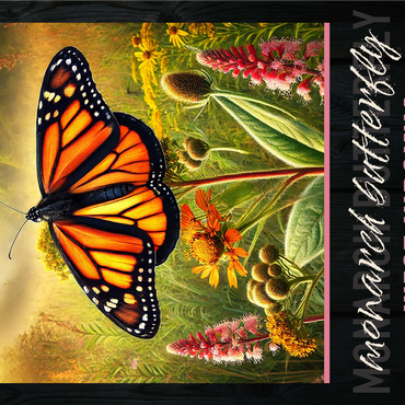 West Virginia, Monarch Butterfly: State Insects Series 1000 Jigsaw Puzzle 3D Modell