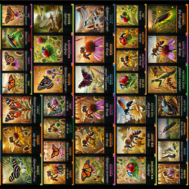 Collage: State Insects Poster, vol.1 1000 Jigsaw Puzzle 3D Modell