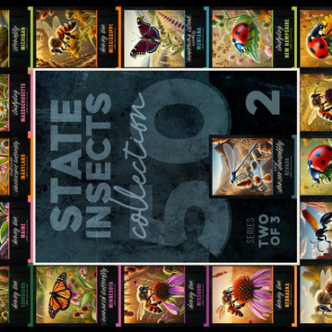 Collage: State Insects Series, Part 2 of 3 500 Jigsaw Puzzle 3D Modell