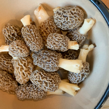 Bowl of Morel Mushrooms 500 Jigsaw Puzzle 3D Modell