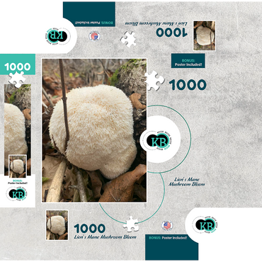 Lion's Mane Mushroom Bloom 1000 Jigsaw Puzzle box 3D Modell