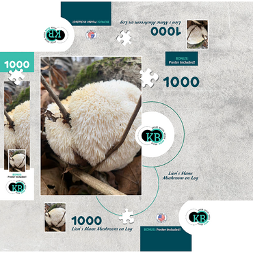 Lion's Mane Mushroom on Log 1000 Jigsaw Puzzle box 3D Modell