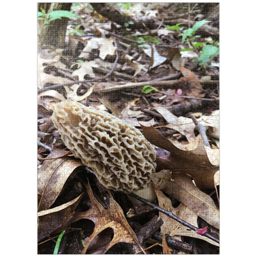 puzzleplate Mushroom in Fall Leaves 1000 Jigsaw Puzzle