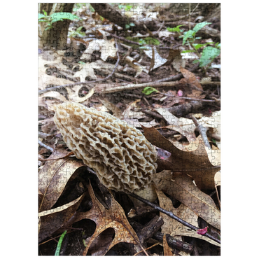 puzzleplate Mushroom in Fall Leaves 500 Jigsaw Puzzle