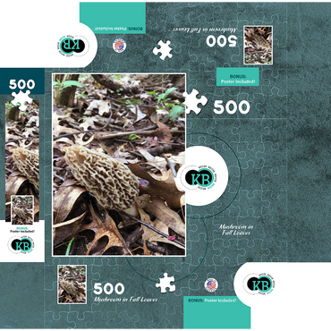 Mushroom in Fall Leaves 500 Jigsaw Puzzle box 3D Modell