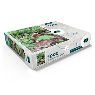 Mushroom in the Woods 1000 Jigsaw Puzzle box view1