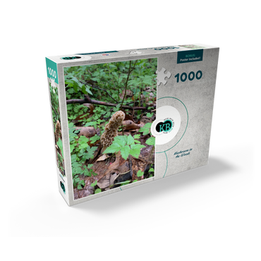 Mushroom in the Woods 1000 Jigsaw Puzzle box view2
