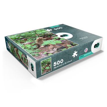Mushroom in the Woods 500 Jigsaw Puzzle box view1