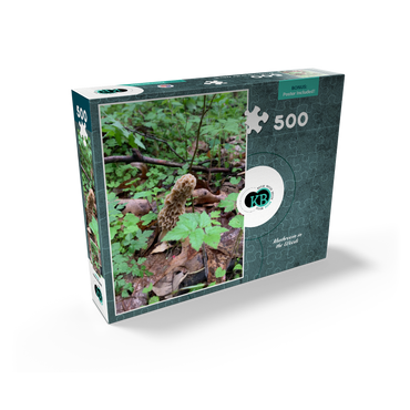 Mushroom in the Woods 500 Jigsaw Puzzle box view2