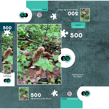 Mushroom in the Woods 500 Jigsaw Puzzle box 3D Modell