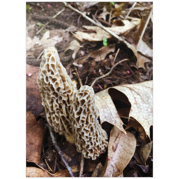 puzzleplate Mushrooms Sprouting in the Woods 1000 Jigsaw Puzzle