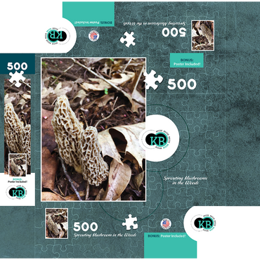 Mushrooms Sprouting in the Woods 500 Jigsaw Puzzle box 3D Modell