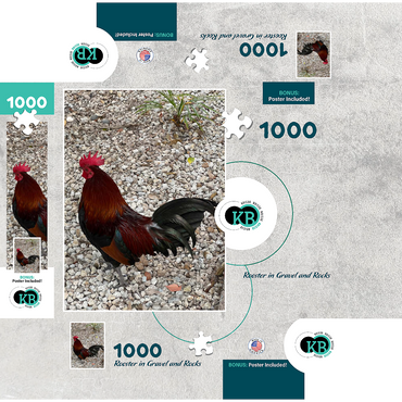 Colorful Rooster in Gravel Rocks 1000 Jigsaw Puzzle box 3D Modell