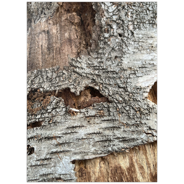 puzzleplate Tree Bark Funny Face 1000 Jigsaw Puzzle