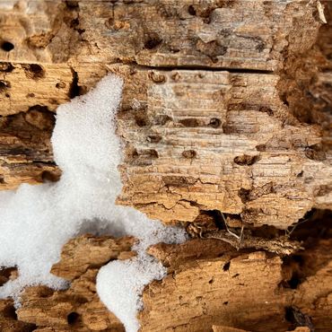 Snowy Tree Bark 1000 Jigsaw Puzzle 3D Modell