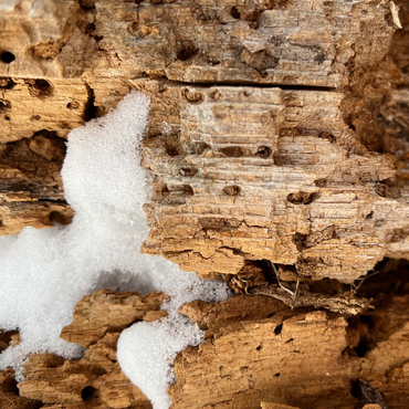 Snowy Tree Bark 500 Jigsaw Puzzle 3D Modell