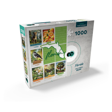 Florida: State Symbols Poster 1000 Jigsaw Puzzle box view2