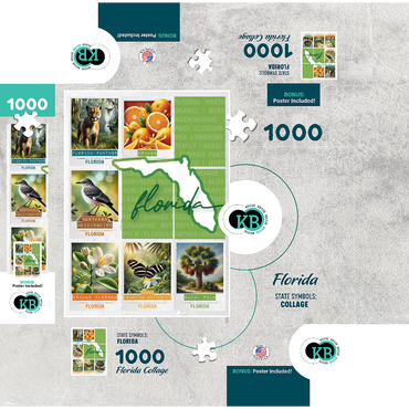 Florida: State Symbols Poster 1000 Jigsaw Puzzle box 3D Modell