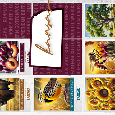 Kansas: State Symbols Poster 1000 Jigsaw Puzzle 3D Modell