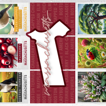 Massachusetts: State Symbols Poster 500 Jigsaw Puzzle 3D Modell