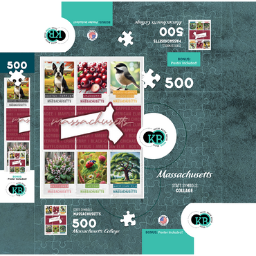 Massachusetts: State Symbols Poster 500 Jigsaw Puzzle box 3D Modell