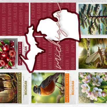 Michigan: State Symbols Poster 500 Jigsaw Puzzle 3D Modell