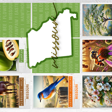 Missouri: State Symbols Poster 1000 Jigsaw Puzzle 3D Modell