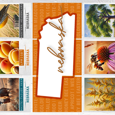 Nebraska: State Symbols Poster 500 Jigsaw Puzzle 3D Modell