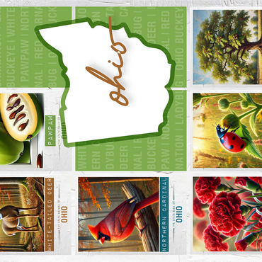 Ohio: State Symbols Poster 1000 Jigsaw Puzzle 3D Modell