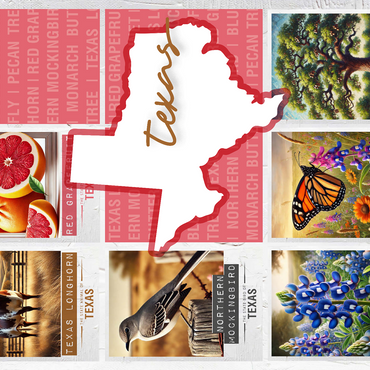 Texas: State Symbols Poster 500 Jigsaw Puzzle 3D Modell