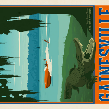 American College Towns: Gainesville, Florida 1000 Jigsaw Puzzle 3D Modell