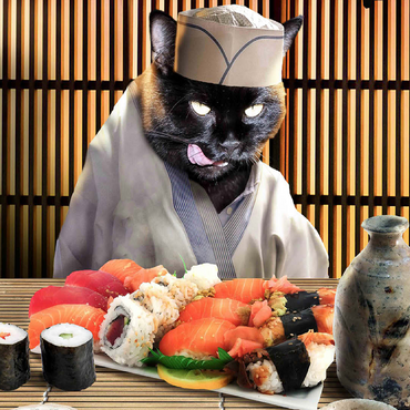 Black Cat Chef, Sushi Ramen - Random Galaxy 100 Jigsaw Puzzle 3D Modell