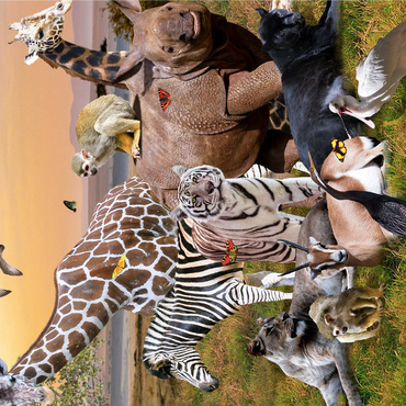 African Animals Safari - Random Galaxy 1000 Jigsaw Puzzle 3D Modell