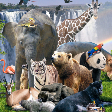 African Animals Waterfall - Random Galaxy 1000 Jigsaw Puzzle 3D Modell