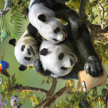 Panda Selfie, Pandas - Random Galaxy 100 Jigsaw Puzzle 3D Modell