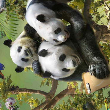 Panda Selfie, Pandas - Random Galaxy 500 Jigsaw Puzzle 3D Modell