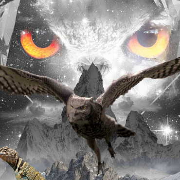 Owl Eyes, Mountain Owls - Random Galaxy 1000 Jigsaw Puzzle 3D Modell