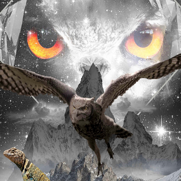 Owl Eyes, Mountain Owls - Random Galaxy 100 Jigsaw Puzzle 3D Modell