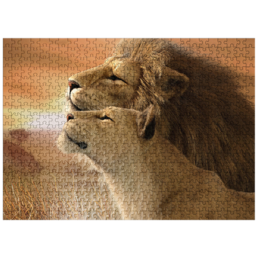 puzzleplate A Tender Moment Wildlife - Laurie Prindle 500 Jigsaw Puzzle
