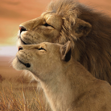 A Tender Moment Wildlife - Laurie Prindle 500 Jigsaw Puzzle 3D Modell