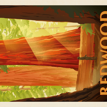 Redwood National And State Parks: Sun Beams 1000 Jigsaw Puzzle 3D Modell