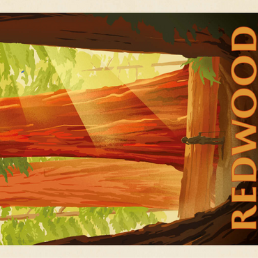 Redwood National And State Parks: Sun Beams 100 Jigsaw Puzzle 3D Modell