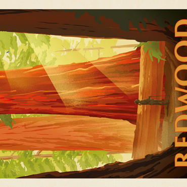 Redwood National And State Parks: Sun Beams 500 Jigsaw Puzzle 3D Modell